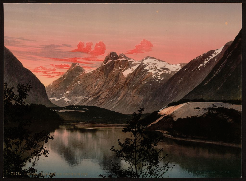 Illustration for article titled Dream-like nature photography from the 1890s